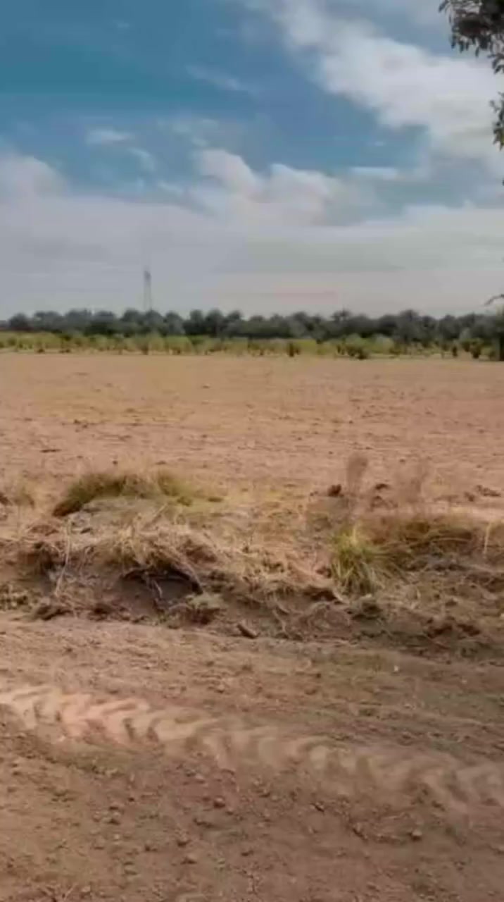 يالله
دوانم حسب طلب شخص

دوانم مالك صرف سند بسمك

بغداد الراشديه يبعد عن مركز الراشديه 10دقايق

سعر الدوانم 130وبي مجال تكعد ويا صاحب الارض ونتفاوض ماء كهرباء واصل لارض سبيس شارع العرض 11متر ترهم مزرعه وترهم بستان الستثمار  
رقم ***********
