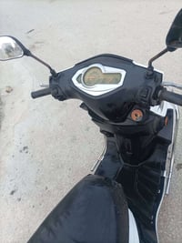 سكنس ثعلب • ٢٠٢٢ • نظيفة