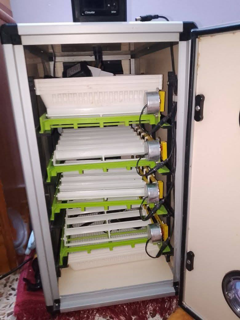 مفقسه جيموكه اصليه ١٢٠ بيضه فول بلتفقيس للبيع مكان تكريت


**إذا كنت صاحب هذا الإعلان وتريد حذفه لأي سبب، رجاءا أرسل رسالة إلى الدعم الفني**