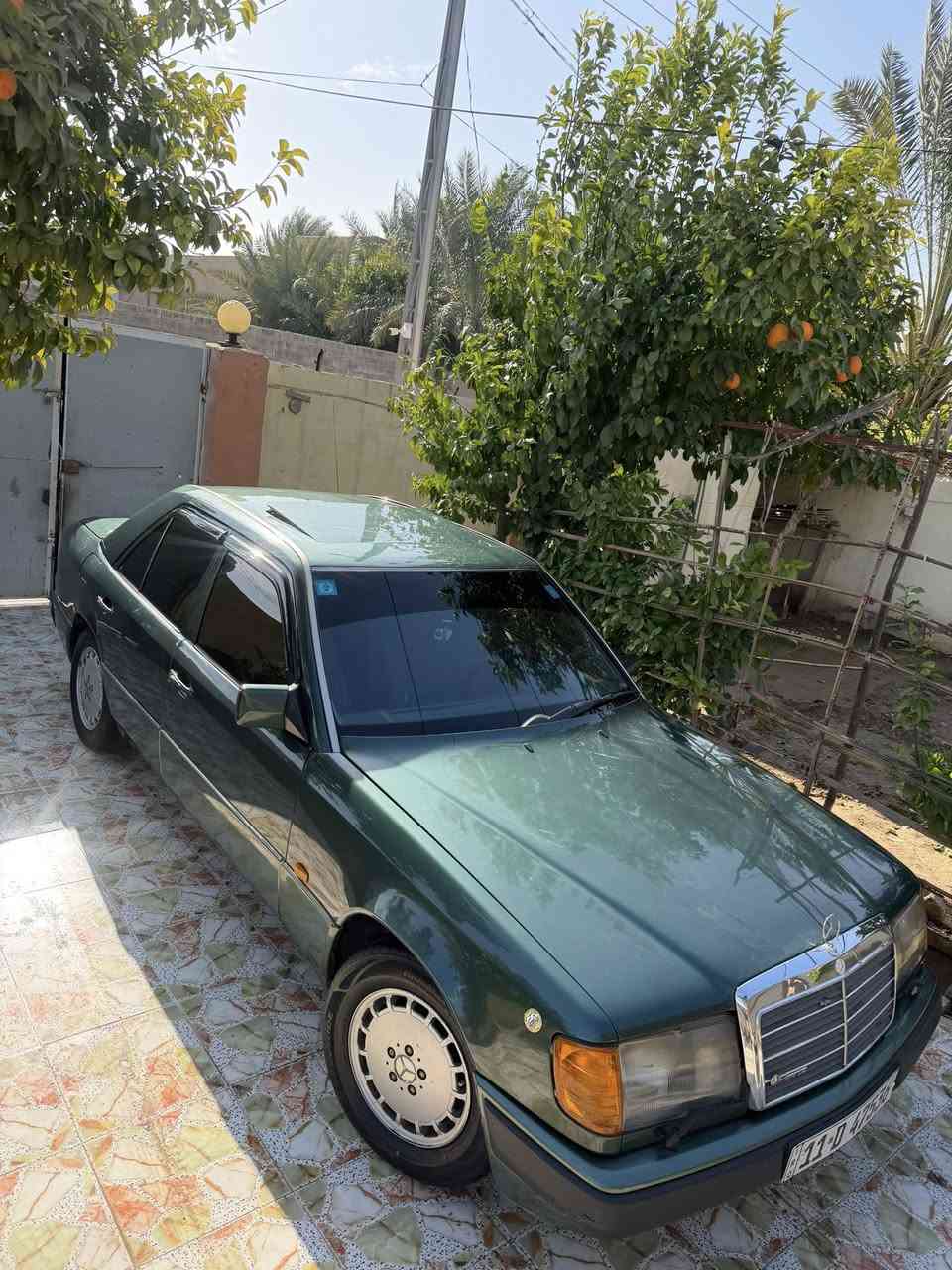 السلام عليكم
مارسدس دب 

موديل 1991

مكينه بلاد عنكبوت 

مصبوغه عام لجماليه 

سنويه باسمي لل29

مكينه كير تبريد كهربائيات 100%

مكان السياره ديالى بعقوبه 

السعر ٦٥بيهة مجال قليل 

***********
