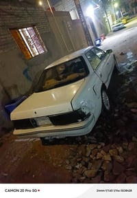 مارك كصيف • بصرة زبير • بدون راعي