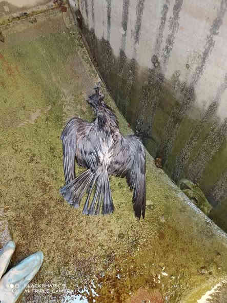 داشکاندن تا ١٥/١/٢٠٢٦
بۆیە هەر ئیستا تەلەفون بکە سەرەیەک بۆ خۆت بنوسە تا تەنکیەکانتان بە جوانترین شێواز بۆ پاک بکەینەوە بە سعری زۆر زۆر کەم
ژمارەی موبایل
***********
