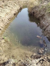 ٦ دونم • شارع عام • نهر ماء حلو