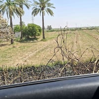 طابو • دونم • ماء سقي وكهرباء