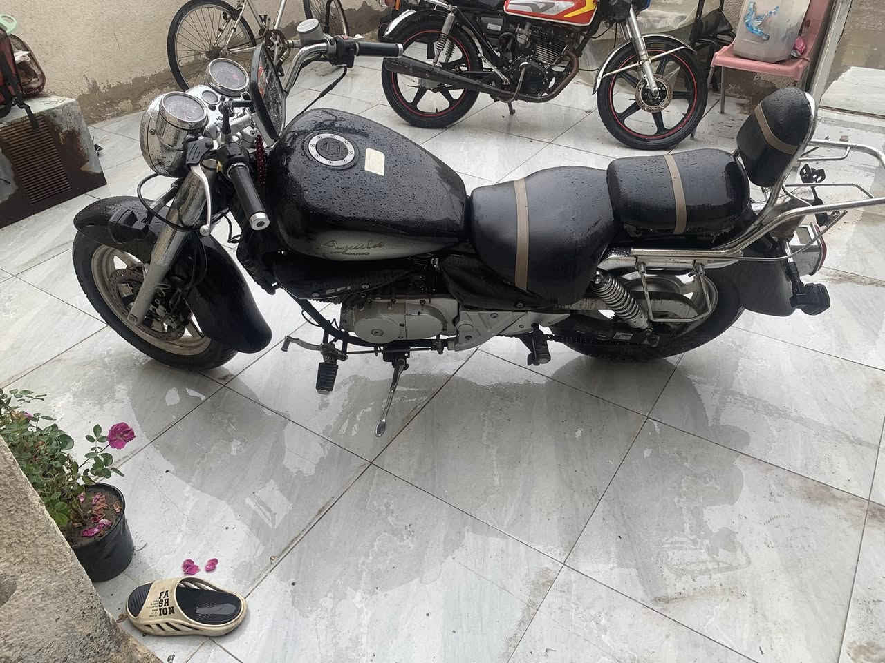 سلام عليكم شباب هايسونك مديل 2014 تكدر تكول دراجه وكاله مكينه  صبانه ما لايحتها الغب شغلات بيها بلاديه 
-نوزل كهربائي 
-5 نمر 
-ستان كهربائي 
-حجم محرك 250cc اقتصادي 
-صناعه كوري 🇰🇷
-سعرها 1,450 
دراجه بيها منفيس دخول صاحبها المنزلها من معرض صديقي ، دراجه ما متعوبه اروح بيها للمدرسه ورجع 
الاستفسار *********** @جميع
