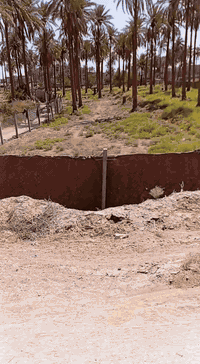 كربلاء الهندية • ارض زراعية • ٢ دونم