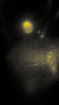 السلام عليكم دراجه بريز للبيع مكفوله الدراجه نضيفه وكلشي شغال بيها من كهربائيات وشاير ومن كل النواحي مكفوله الدراجه شلعه ومعدل  ول دراجه مابيها نقص برغي تجي وتشوف بعينك ومتواجد خاص او واتساب***********
