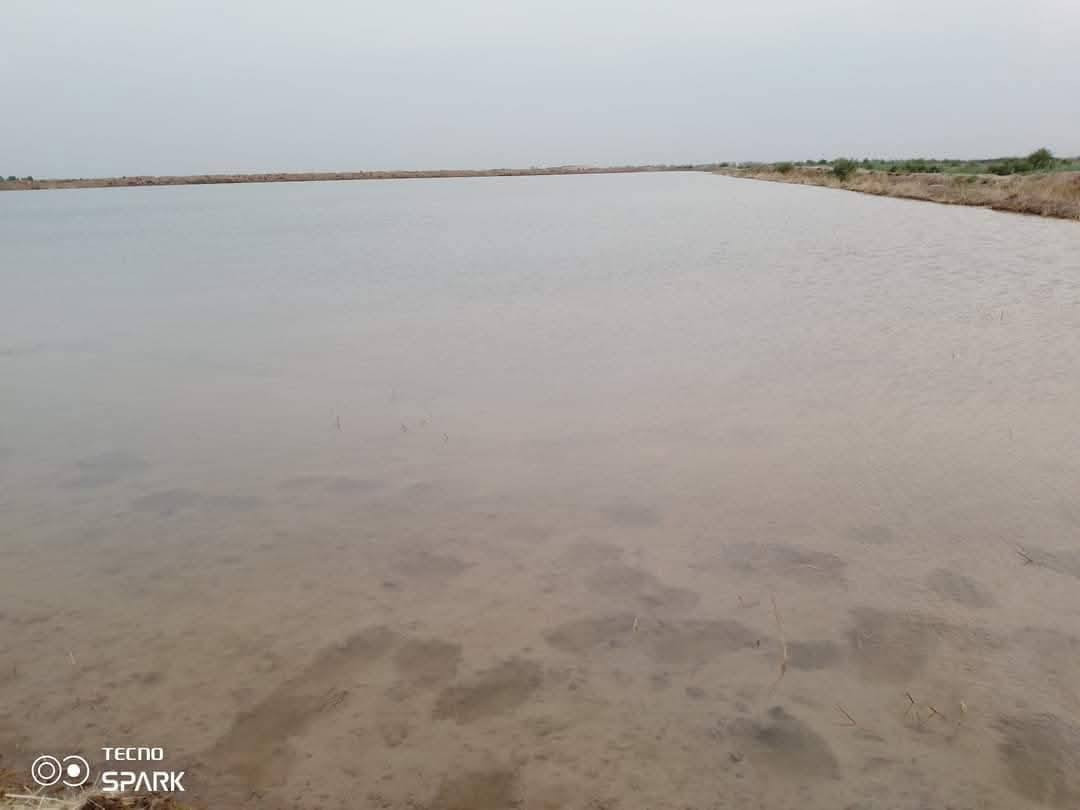 السلام عليكم مستعدون لتعديل الاراضي الزراعيه بتقنيت اليزر شرط السقي وتجهيز كراب فدان دسك في جميع المحافضات ***********

