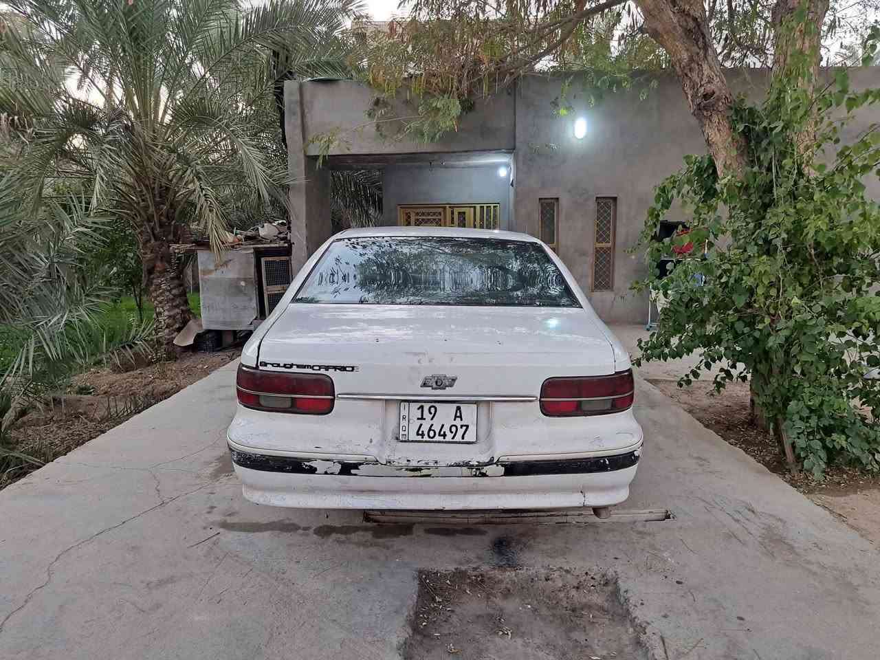 دولفين موديل ٩٤ رقم كربلاء انكليزي مشروع وطني سنويه لل٣٠ تحويل ثاني مكينه ٣٥٠ كير ١٠٠٠ مكينه وكير خير من الله مصبوغه جماليه تراي وين مايعجبك دواخل كلش نضاف كهربائيات عامه شغاله سعرها كلش مناسب ٢٢ وبي مجال قليل *********** مكاني كربلاء
