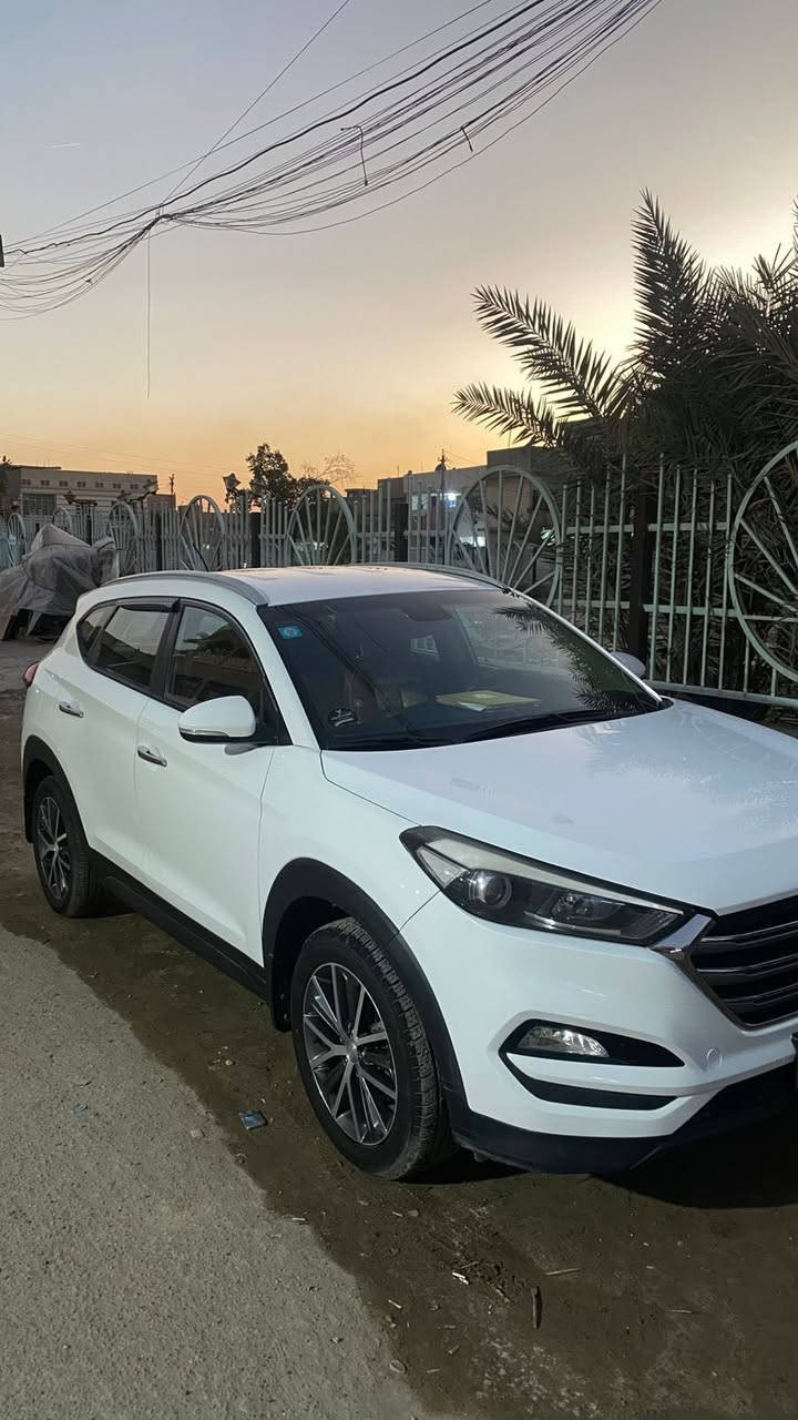 توسان 2016
السلام عليكم توسان 2016 خليجي ماشيه 145 الف 
تحكم استيرن و جلد خمسه ويل كب تخم تاير جديد منظومة تبريد كوري شركة جديد حداديه جديده ما بيه نقص شعره 
رقم بغداد بأسمي تحويل مباشر 
سونار مرفق 
السياره بيه ضربه بالبنيد من فوك وتبدل يعني الدعاميه مابيه شي 
وبيه ضربه ثانيه بالجاملغ وانصبغ 
السعر 165 وبيها مجال العنوان بغداد حي الامين الثانيه 
***********
