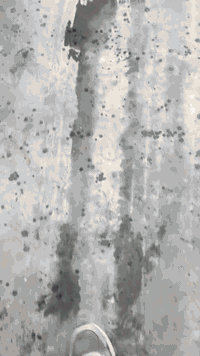 مميزات وتفاصيل العرض :
العرض الاول للسيارات صغيرة الحجم
بوليش ونانو بسعر 170$ ( ضمان سنة كاملة )
بوليش ونانو بسعر 230$ ( ضمان 3 سنوات + ادامة مجانية لمرة واحدة )
بوليش ونانو بسعر 400$ ( ضمان 5 سنوات + ادامة مجانية 3 مرات )
-العرض الثاني للسيارات متوسطة الحجم
بوليش ونانو بسعر 220$ ( ضمان سنة كاملة )
بوليش ونانو بسعر 270$ ( ضمان 3 سنوات + ادامة مجانية لمرة واحدة )
بوليش ونانو بسعر 440$ ( ضمان 5 سنوات + ادامة مجانية 3 مرات )
العرض الثالث للسيارات كبيرة الحجم
بوليش ونانو بسعر 300$ ( ضمان سنة كاملة )
بوليش ونانو بسعر 360$ ( ضمان 3 سنوات + ادامة مجانية لمرة واحدة )
بوليش ونانو بسعر 530$ ( ضمان 5 سنوات + ادامة مجانية 3 مرات )
عرض البوليش فقط :
صغير 100 الف دينار فقط
وسط 120 الف دينار فقط
كبير 150 الف دينار فقط
يتوفر عروض على غسل vip
يشمل تنظيف الدواخل بمواد مجدده للبلاستيك وتشميع سياره بل واكس بتقنية نانو سعر العرض 20  الف
العنوان كركوك شارع المطار قرب قاعة ديفان
للاستفسار والحجز مراسلة الصفحة او الاتصال على الرقم ***********
