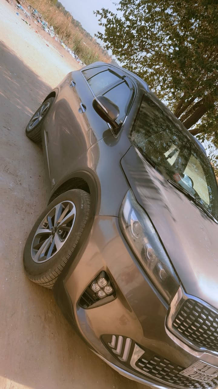 سورنتوو 19 فول عدا البانوراما سياره نضيفه وضربتها بلبنيد الاصلي ضربه بسيطه سونار موجود تخم تاير كشنات جلد
السعر210 وبيها مجال للطيبين

للأستفسار 

***********
