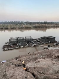 احواض لعدد 12 كاملات حنه وملحقاتهن ابيع شلع للاستفسار 07877720015