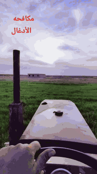 للبيع مرشه800
مكان حمدانيه 

رقم ***********
***********
موديل2024 
سعر (8٫5$)ورقه
