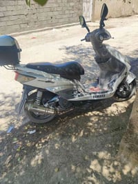 ورحمه الله وبركاته سكنس فحل للبيع جسر ديالى الكرغوليه سايد الواحد الرق...