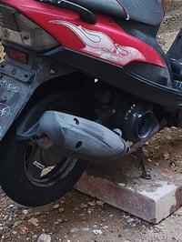 صالنصة • بلادية • مكفولة