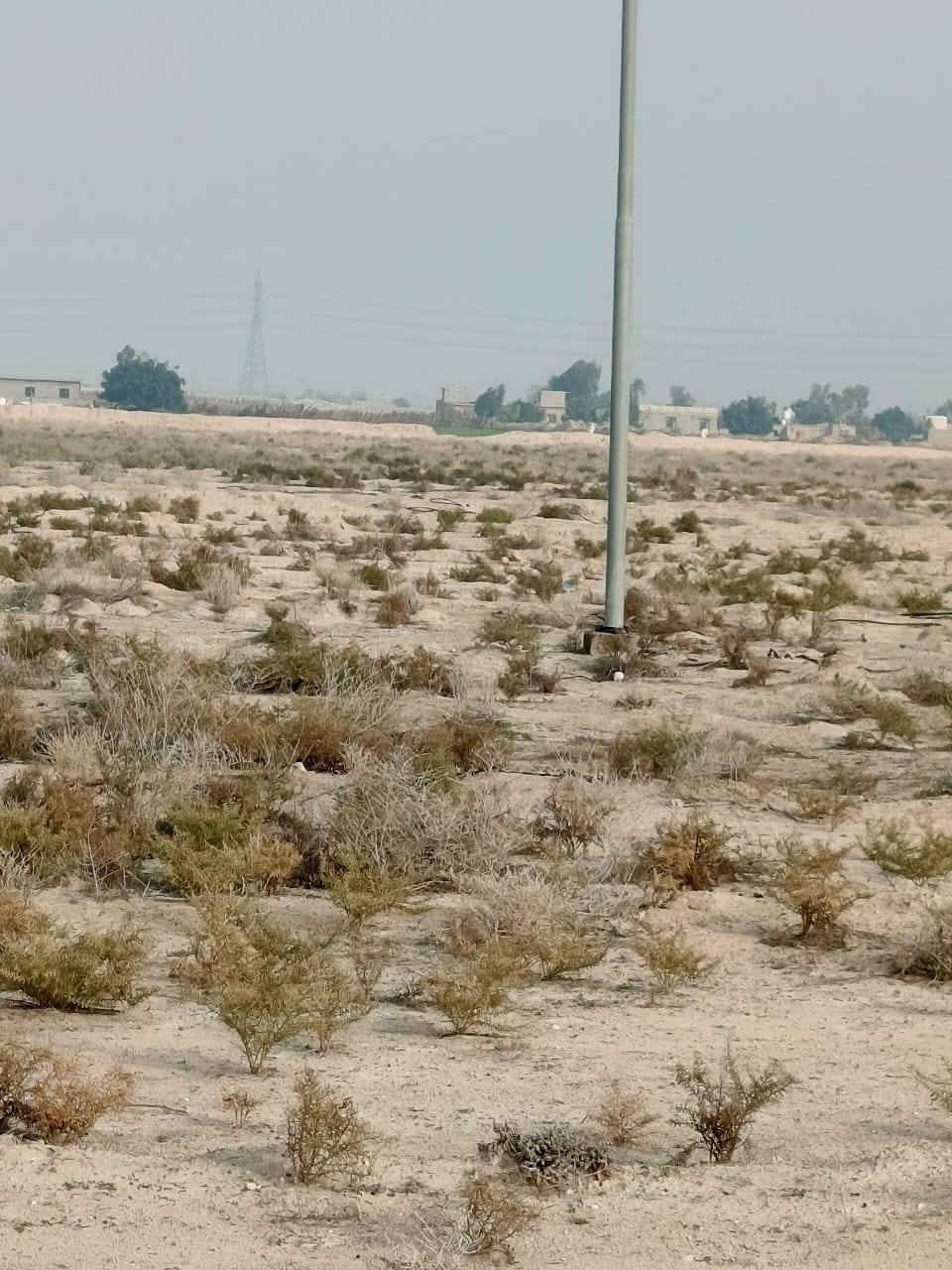 السلام عليكم للبيع مزرعه طريق نجف كربلاء تجاه طريق يا علي عمود 509 قرب شارع الميدان الذبه الثالثه عقد 25 دونم تحتوي علئ بئر ماء وكهرباء وشارع تبليط علما ان عقد المزرعه مجدد للاستفسار الاتصال على الرقم ***********
