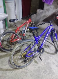 البصرة • بايسكل رياضي • عدد اثنين