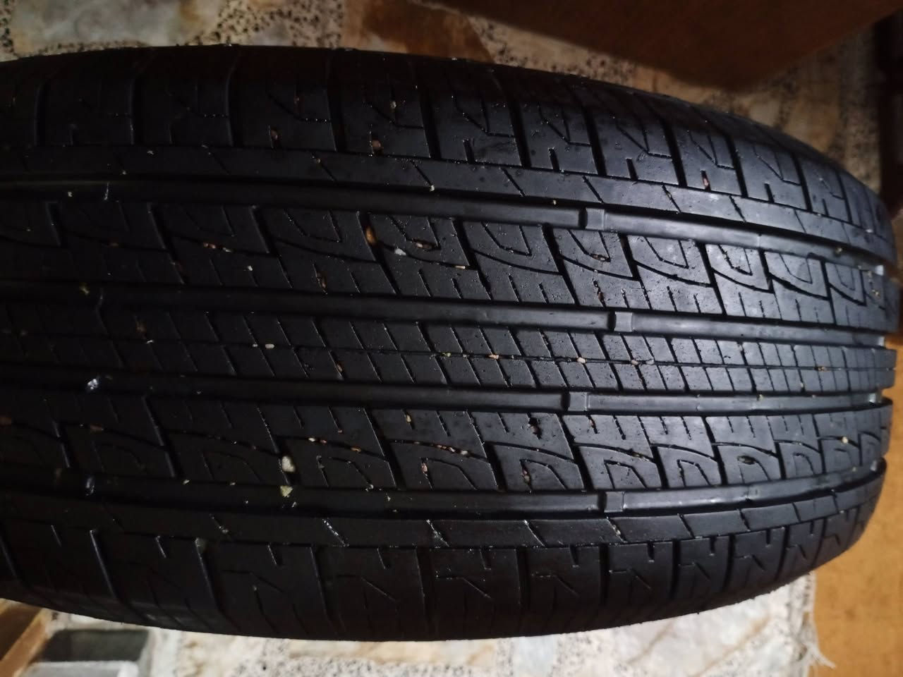 السلام عليكم زوج تاير للبيع شرط ابيع على الشد نضاف 100%100وشرط الفحص القياس 235 على 55 على 19مال سورنتو سعر 100 وعلى الشد ابيعلك اي استفسار *********** العنوان الامين النواب قرب جامع الاسراء والمعراج
