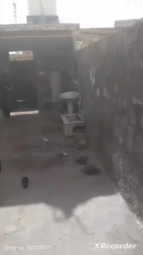 سلام عليكم بيت للبيع في حاوي العباس وره الإمام مساحه ١٥٠م متكون من استقبال وغرفه وصاله ومطبخ وحمام داخلي خارجي وكلدور وممر
بيت جاهز عوزه فقط سيراميك ارضيه
متوفره كافه الخدمات
السعر:٣٥
للإستفسار: ***********
