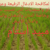 خدمات • خدمات أخرى • بدون تفاصيل