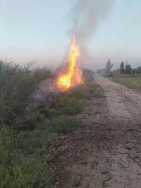 بين المحسن وكاطون • ١٠٠م • عقد١٧