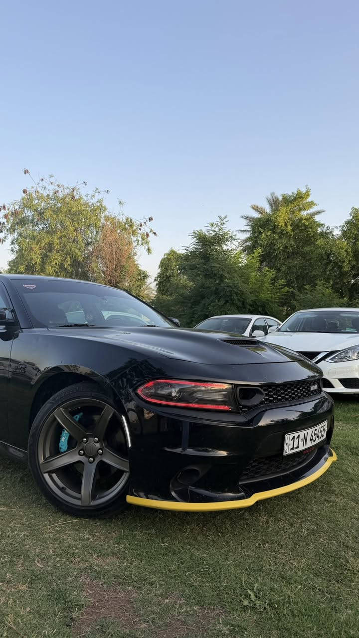 ‏مراوس …مراوس…مراوس سكات باك حصراً 
Dodge charger R/T 🇺🇸
تشارجر ارتي 2016 
‏5.7 HEMI 🚀🇺🇸
ماشيه 125
خزن ميموري ⚪️
شاشه كبيره كار بلي 🖥️📍
كشنات جلد تدفئه وتبريد ♨️❄️
ستيرن تدفئه ♨️
مري تعتبم 😎
مري قلاب ع R
باقي المواصفات معروفه ↗️
لد متغير الوان بالتطبيق🌈
لايت عدسه نهار 🌞
بروجكتر دبل ريشه تمشي بي ع دولي متحتاج لايت بعد 💥
تخم تاير وويل نجمه خسفه قويه ↗️
ادامه كامله من الالف للياء ↗️
بوليش و نانو سيراميك ضمان 5 سنوات مركز M3 ✅
 ____
السياره برمجة مصطفى إيـگل 🦅🔥
عليها شوته K&N 🚀
بلكات ريسنك njk⚡️
ولف حماوه ريسنك مشيموتو 82🌡️
اويل كاچ كان اصلي باور ستيل🛢️
إكسل سوبر تراك باك 🐎
عليها تفريغ وداون بايب تفصال واكس بايب 
وسطيات slp
دبات سود SRT 🎶
بوابات كتم 100‎%‎🔇
نيكلات كورسا كاربون فايبر
كله شغل علي الوادي 🔥
كفرات فچوچ بريمبو هبات ضوئي بالليل 🩵
___
الحادث صبغ جاملغ خلفي بدون كص جهة السايق 💢
قبغ جنطه مبدل وكاله نفس اللون ✅
السياره بدوون ايـرباك ❌ بحالة الوكـاله✅
السياره اجت من امريكا بيها كلير بالقماره فقطط كليرر ⚪️
السياره مصروف عليها ومداريها مال جناي استعمال يومي ✅
شباب للمراوس فقط .🤍


**إذا كنت صاحب هذا الإعلان وتريد حذفه لأي سبب، رجاءا أرسل رسالة إلى الدعم الفني**