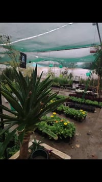 رمضان • ٨ص-١٠م • عدا الصلاة