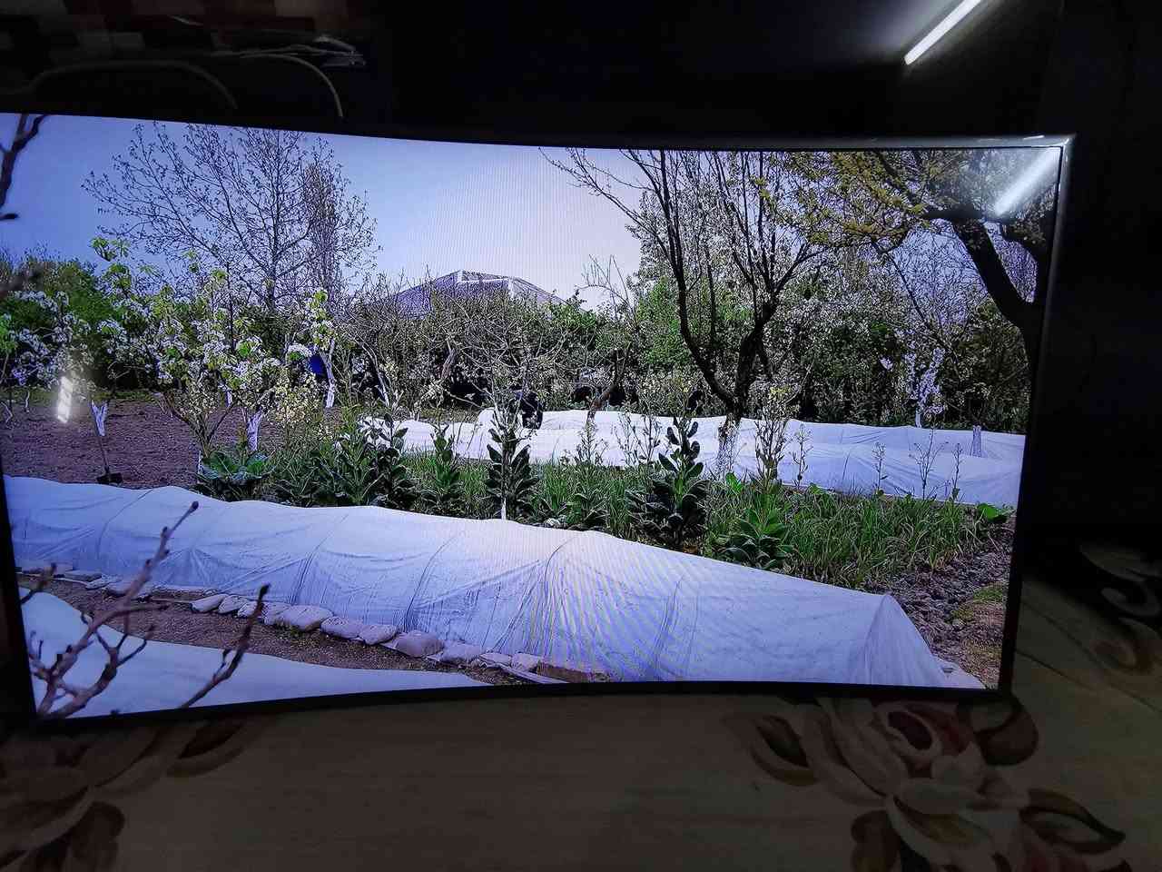 سلام عليكم اخواني عندي شاشه نوع سامسونك اصلي حجم 55 مقوس (Curved) نظيف جدا مواصفاته انترنت اسمارت 3 مانافذ HD فول اجدي يوتيوب شاهد ونتفلكس وغير ذالك السعر 425 وبي مجال حك جيتكم العنوان البياع حي الرساله الأولى قرب مدينة العاب الكرخ تلفون ***********
WhatsApp +964***********
