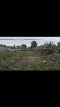 قضاء السنية • ٢٥٠٠م • ماء وكهرباء