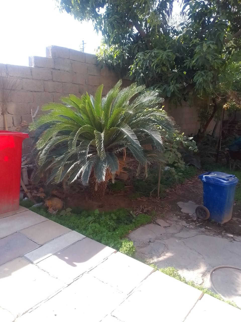 السلام عليكم سايكس للبيع عمرها ب٣٠ سنه مكاني بالحارثيه سعرها بالمشاتل مو اقل من ٥٠٠ اني ابيعها ب٢٥٠ الف جواها ٢ اصغار وشكرا


**إذا كنت صاحب هذا الإعلان وتريد حذفه لأي سبب، رجاءا أرسل رسالة إلى الدعم الفني**