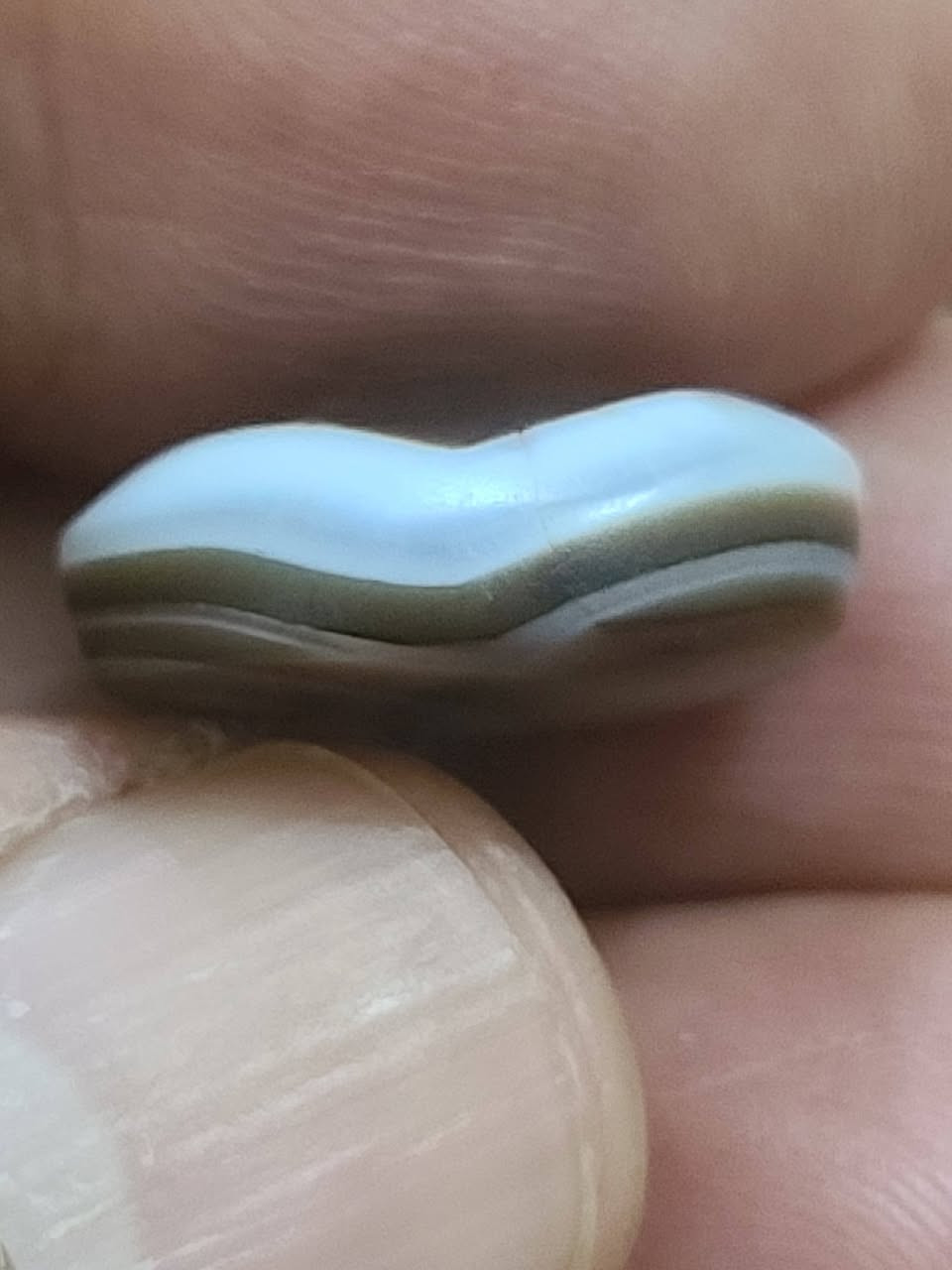 نوادر اليماني الحقيقي القديم
تواصل على الرقم 

***********
