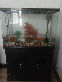 حوض أسماك • ٥٥×٨٠سم • نجف كوفة