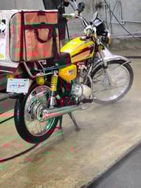 شلامجه • أصلي • مكفولة