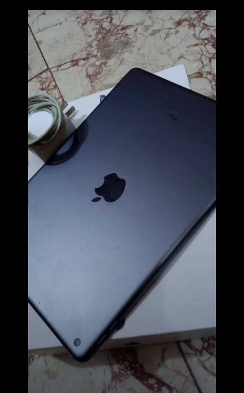 للبيع او مراوس بأيفون
بكاني بغداد الزعفرانية


**إذا كنت صاحب هذا الإعلان وتريد حذفه لأي سبب، رجاءا أرسل رسالة إلى الدعم الفني**