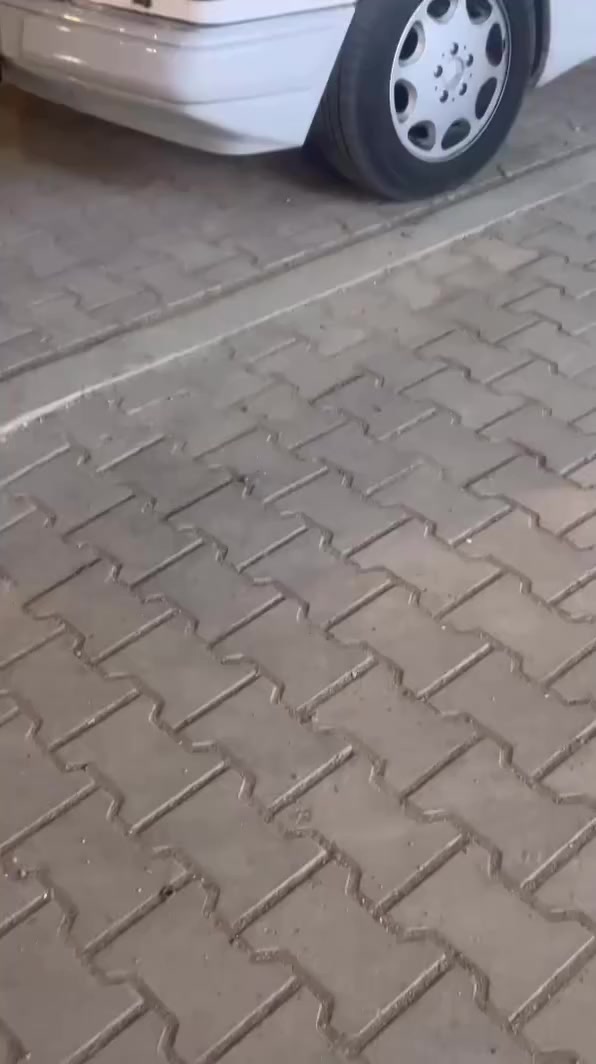 👑✌️


**إذا كنت صاحب هذا الإعلان وتريد حذفه لأي سبب، رجاءا أرسل رسالة إلى الدعم الفني**