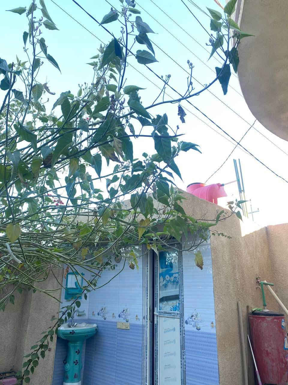 السلام عليكم بيت طابقين للبيع طابو زراعي المساحة٢٠٠متر السعر ٥٥ وبي مجال المكان طويريج الرجيبه الفرع المقابيل فرع المركز 
للتواصل :***********
