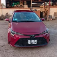 ٢٠٢٣ • ماروني • بابل الاسكندريه