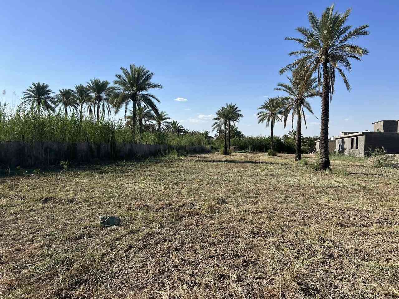 السلام عليكم
دونم للبيع طابو باسمي واجهه 27 متر قرب جسر الصويره ( باللوفه مال جسر ) يبعد عن الشارع العام 100 متر تقريبا متوفره بي خدمات 
للاستفسار ***********
