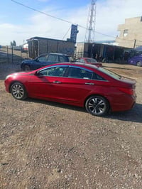 اللبيع او مروس حسب القناعه 07701290261