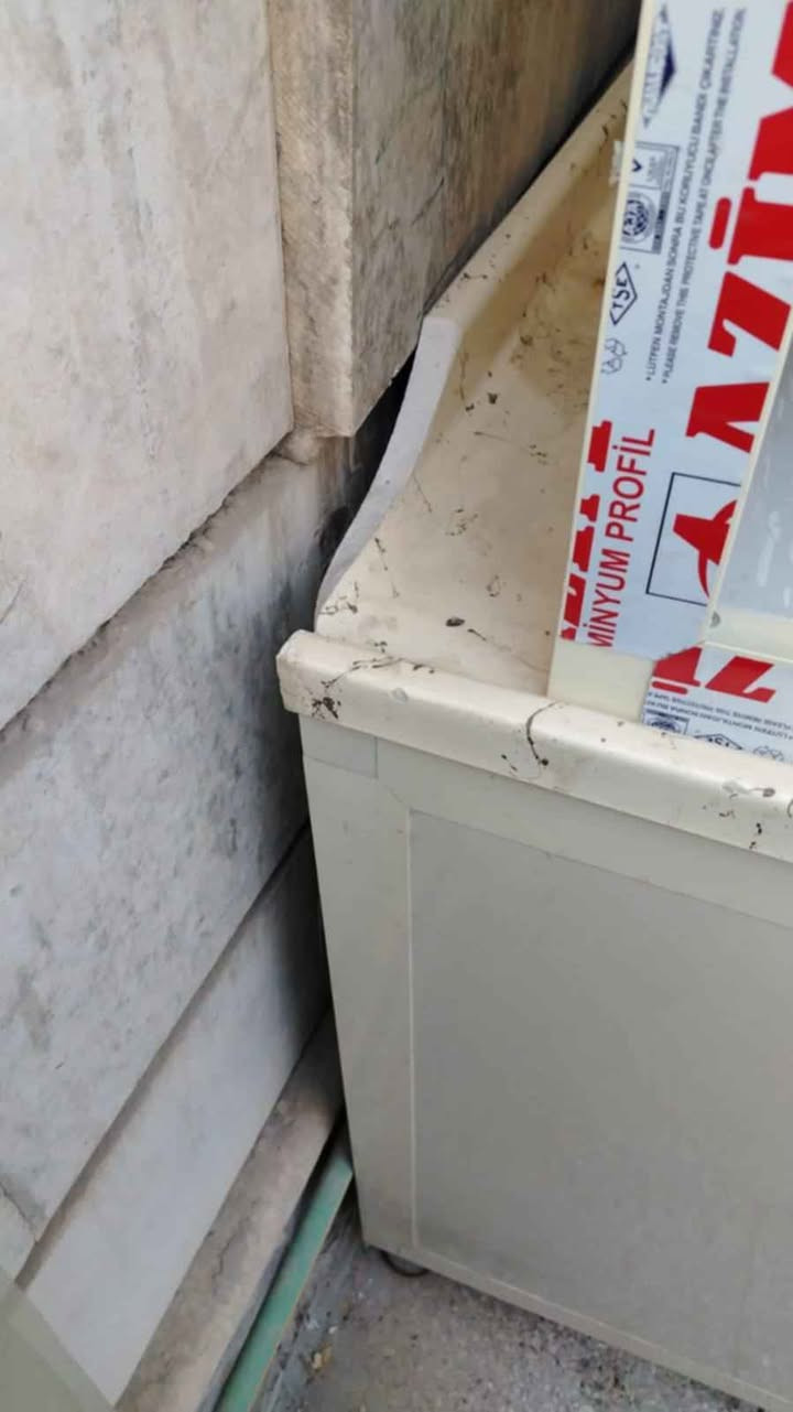 للبيع 
كاونتر ألمنيوم تفصال السطح مرمر قياس ٣متر بيه ضرر بطرف السنك 
سعر الشراء مليون وربع سعر البيع ٥٥٠وبيه مجال 
العنوان بغداد حي الحسين بغداد, العراق


**إذا كنت صاحب هذا الإعلان وتريد حذفه لأي سبب، رجاءا أرسل رسالة إلى الدعم الفني**