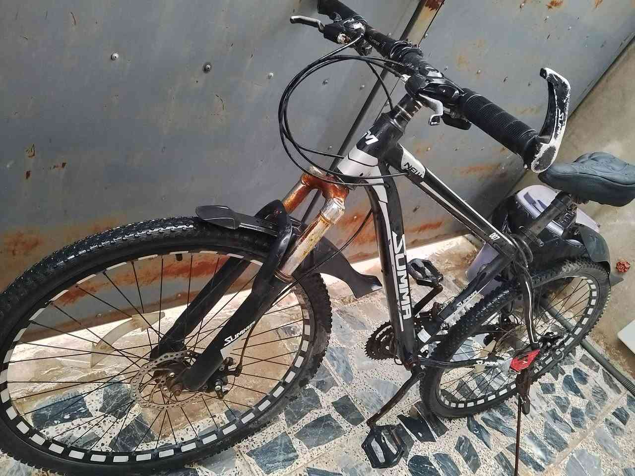 السلام عليكم بايسكل للبيع السعر 75وبي مجال


**إذا كنت صاحب هذا الإعلان وتريد حذفه لأي سبب، رجاءا أرسل رسالة إلى الدعم الفني**