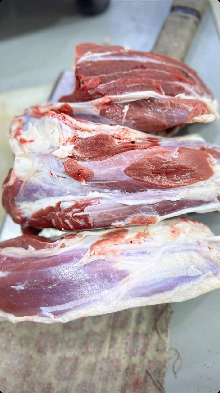 اسعار لحم الغنم في قصابة 🥩
قصابة ام المساجد 🥩

شارع ابو السنوره قرب كوفي سراج 🥩

خروف خالص هرفي ب19 الف 🥩

عجل فخذ خالص ب 16 شرح 🥩

لحم مثروم خالص ب 10 الف 🥩

جلاوي غنم ب 10 الف 🥩

ليه هرفي ب 16 الف 🥩

للاستفسار مراسلة الارقام
***********
***********
***********
العنوان الفلوجه الشهداء شارع ابو لنسوره قرب كوفي سراج 🫖
