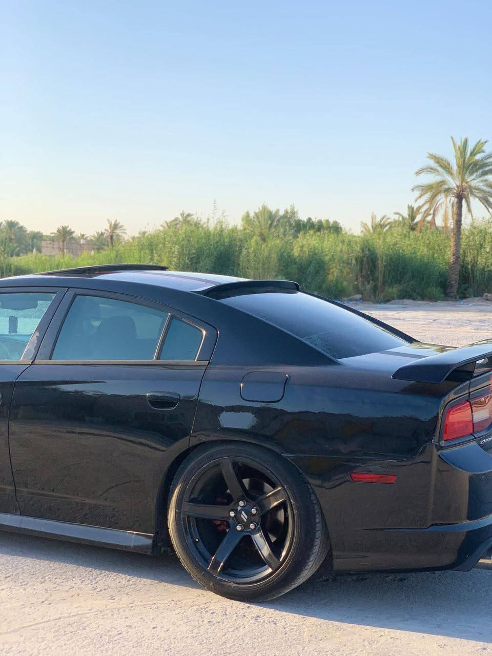 ويل نجمه خسفه قويه خلفي ١٠ونص امامي ٩ونص اصلي لافطر لاعواج اريد مراوس بويلد ٢٠او srtمكاني كربلاء


**إذا كنت صاحب هذا الإعلان وتريد حذفه لأي سبب، رجاءا أرسل رسالة إلى الدعم الفني**