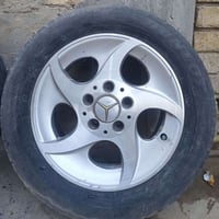 تخم ويل • مقاس ١٥ • للبيع