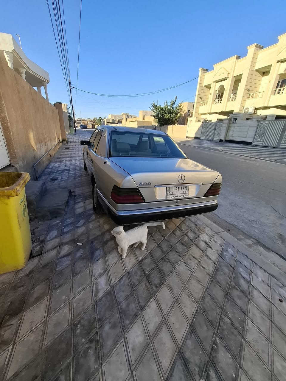 مارسيدس ٩١ محدث بجم وجنطه بيبي دب محرك بلادي مكفوله من الضربه قواعد دبلات سليمه مصبوغه عام. قماره سلايت رقم صلاح الدين سنويه مستحقه تجديد. تحويل مباشر ..لاستفسار ***********.موجود واتساب.السعر 55.
