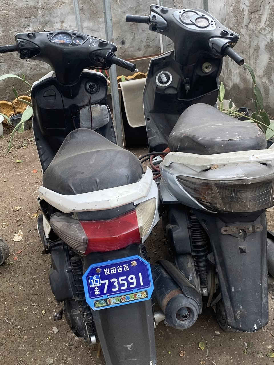 سلام عليكم سكنس نثيه دراجه كامله كاهربايات دشبول اشاير كله شغاله دراجه حلوه نقص بس كفر يسره مكسور شوي سعره375 وبيه مجال *********** مكان محموديه
