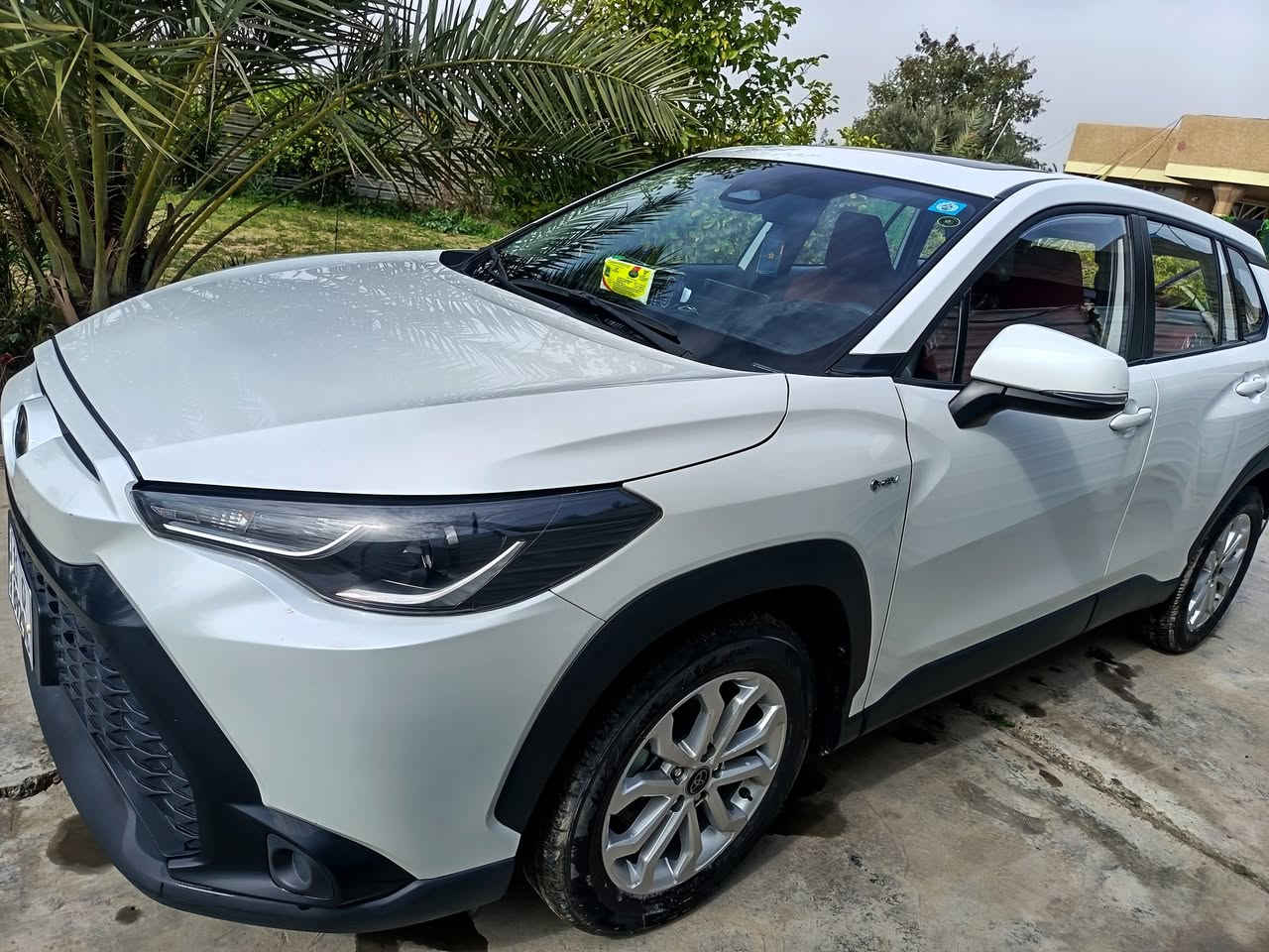 فروت لاندر موديل24
رقم بغداد سياره على وضع الشركه
مواصفات معروفه
ماشيه38قابله للزياده
سياره مكفوله
سعر25

***********
