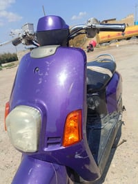 بوليس • كفالة • لايت زنون