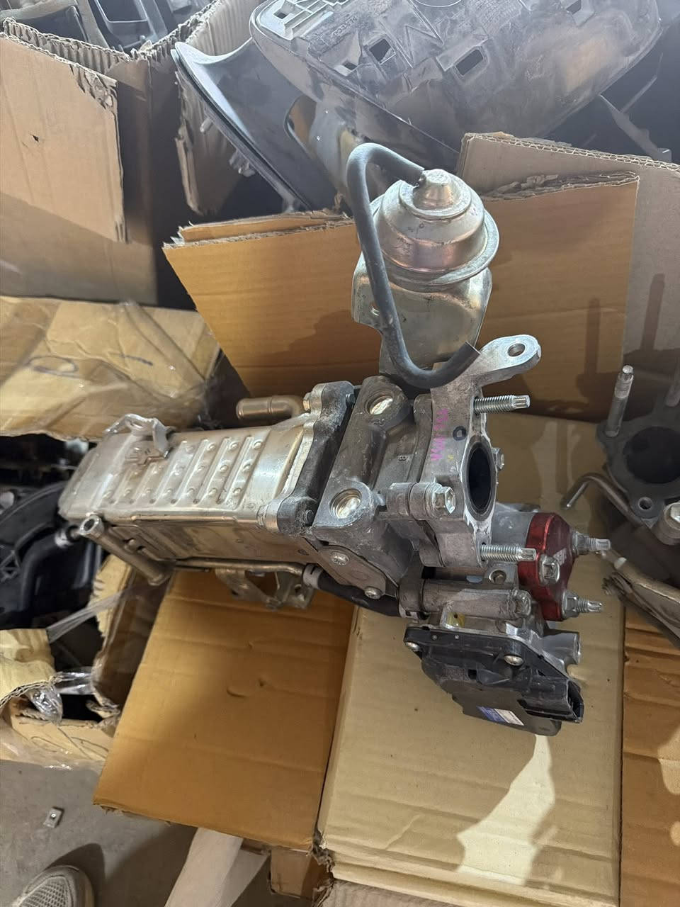 الهايلوكس مو سيارة عادية…
الهايلوكس شغل، تعب، رزق 👊

وإذا تريدها تبقى قوية وتتحمل الحر والصحراء والتحميل؟
تعال لـ مخزن البادية

قطع أصلية 🔧
سعر مضبوط 💰
خبرة تعرف شنو تحتاج سيارتك بالضبط 🚗

لا تغامر بقطعة تعبتك بالطريق!
اختار الصح من البداية ✔️

📍 الصناعية – البصرة
📞 ***********
